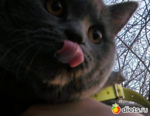 ��� ������� ������� �������� :)))