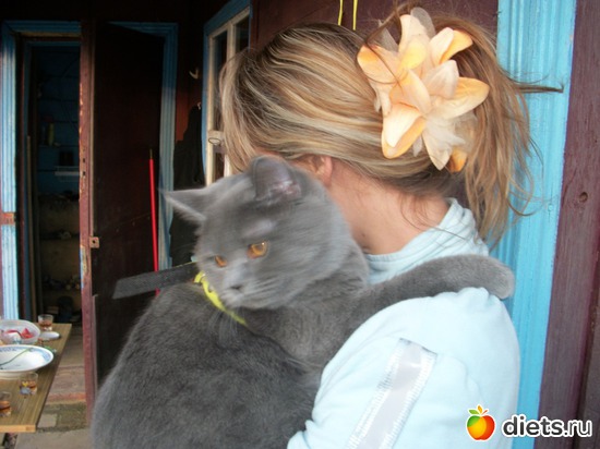 14 фото: Мой любимый голубой британец :)))