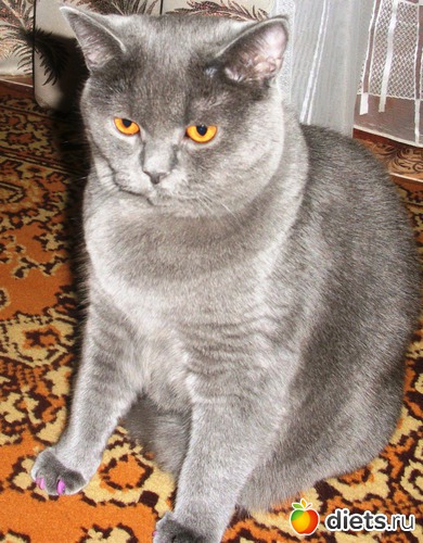 15 ����: ��� ������� ������� �������� :)))