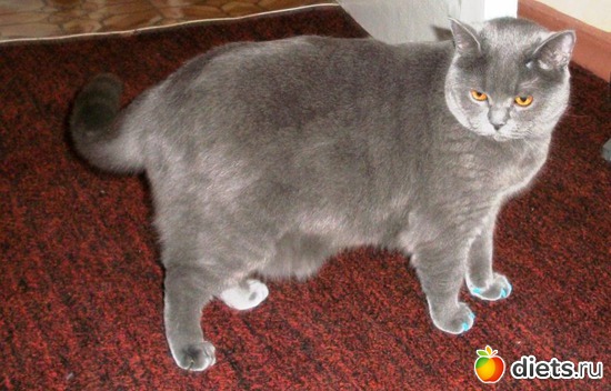 16 ����: ��� ������� ������� �������� :)))