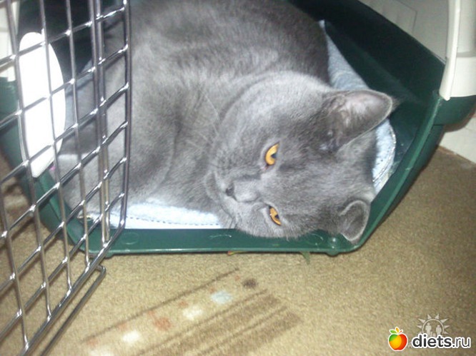 18 ����: ��� ������� ������� �������� :)))