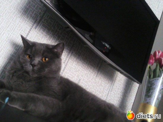 19 ����: ��� ������� ������� �������� :)))