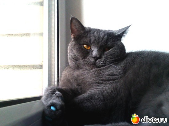 20 ����: ��� ������� ������� �������� :)))