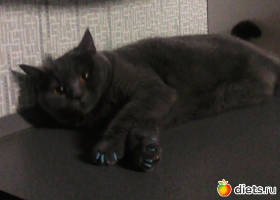 21 ����: ��� ������� ������� �������� :)))