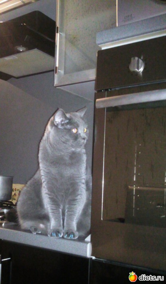 22 ����: ��� ������� ������� �������� :)))