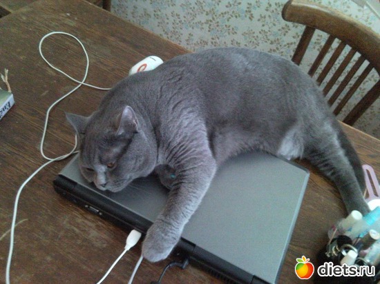 23 ����: ��� ������� ������� �������� :)))