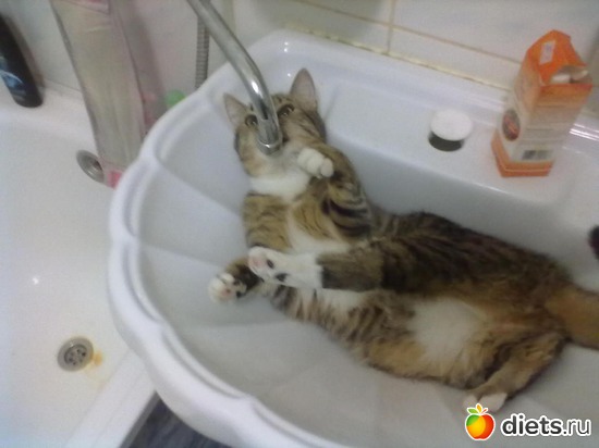 2 ����: ��� ����