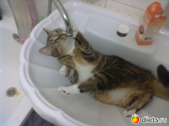 3 ����: ��� ����