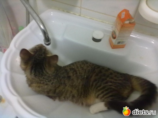 4 ����: ��� ����