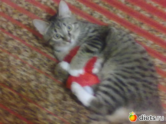 5 ����: ��� ����