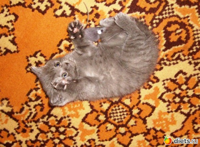 2 ����: ��� ������� ������� �������� :)))