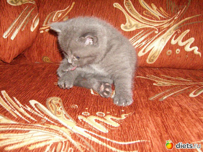 3 ����: ��� ������� ������� �������� :)))