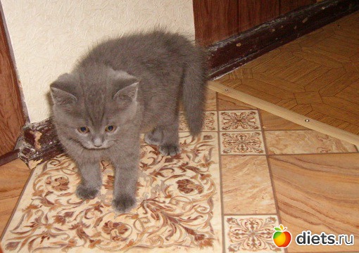 ��� ������� ������� �������� :)))