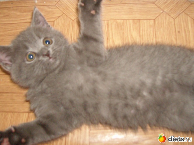 6 ����: ��� ������� ������� �������� :)))