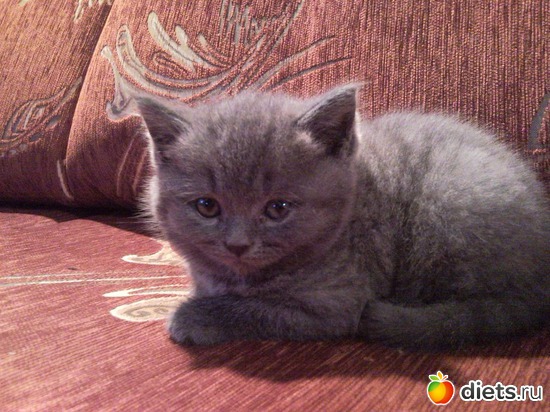 8 ����: ��� ������� ������� �������� :)))