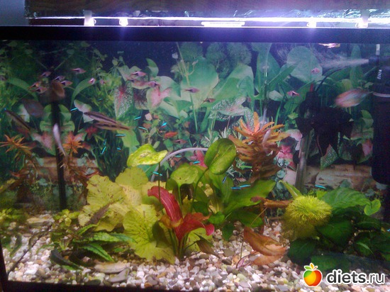 2 ����: ���� ���������