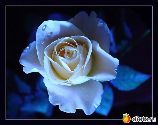 3 ����: �����