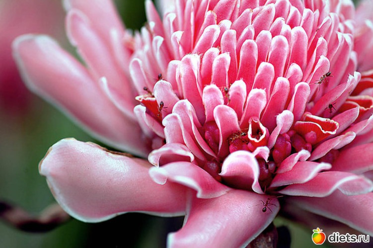 6 ����: �����