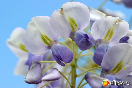 7 ����: �����