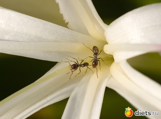 9 ����: �����