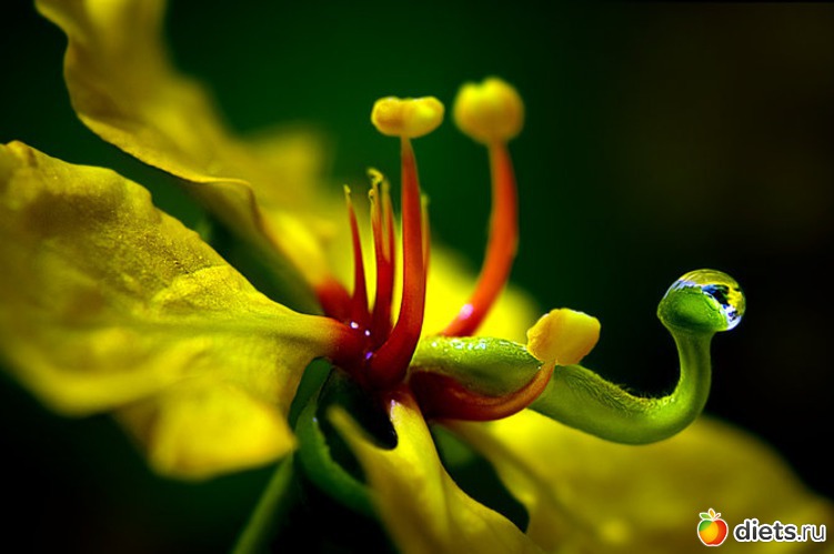 12 ����: �����