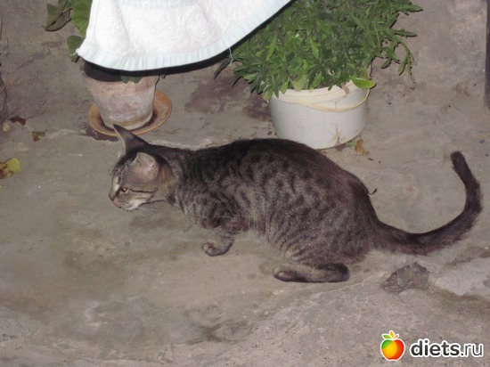 ����� �� �����, ������: � � �� ������� ���������...