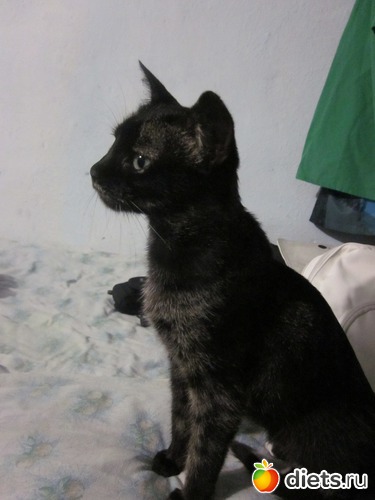 ������- ��� �������!, ������: � � �� ������� ���������...