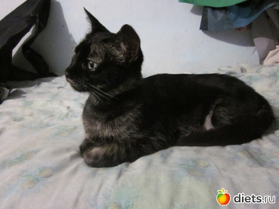 � ��� �� ��������.., ������: � � �� ������� ���������...