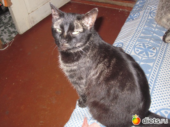 ������, ������: � � �� ������� ���������...