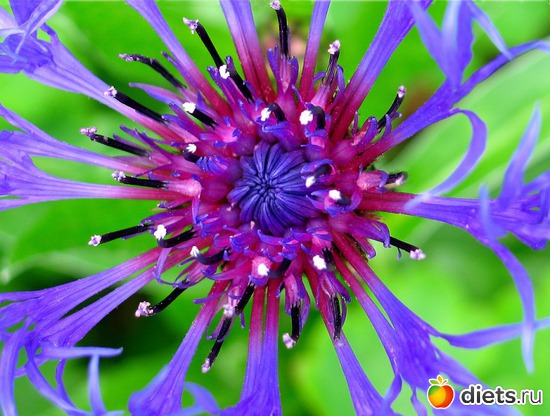 16 ����: �����