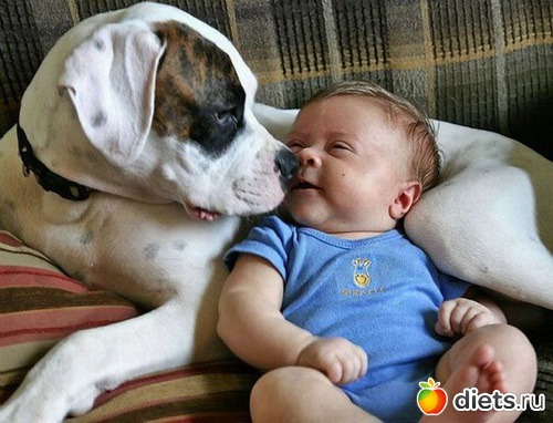 Детки не в клетке