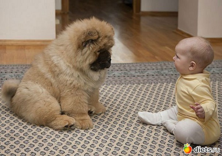 12 фото: Детки не в клетке