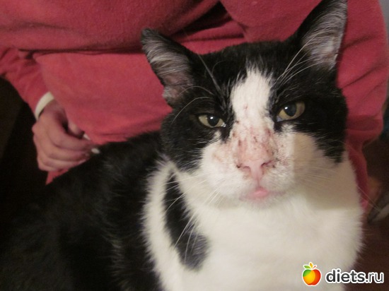 ���������- �������, ������: ��� ������ ���.