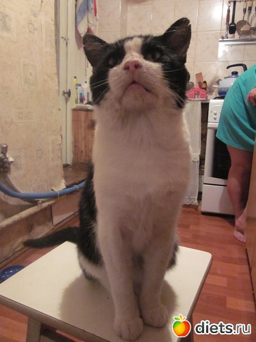 ����� ��������!, ������: ��� ������ ���.