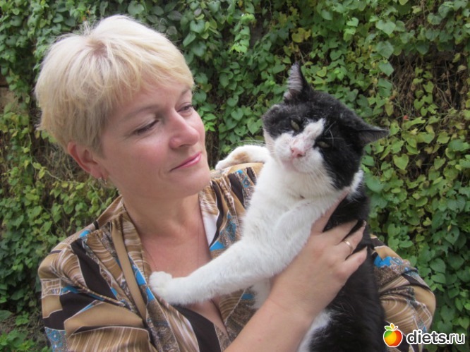 10 фото: Мой старый кот.