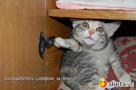 Женские мудрости