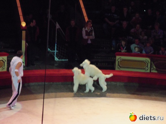 10 фото: МОСКВА 16.03-06.04.2012