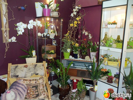 Флористический салон на Белорусской, альбом: МОСКВА 16.03-06.04.2012