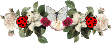 выбрала себе бонус