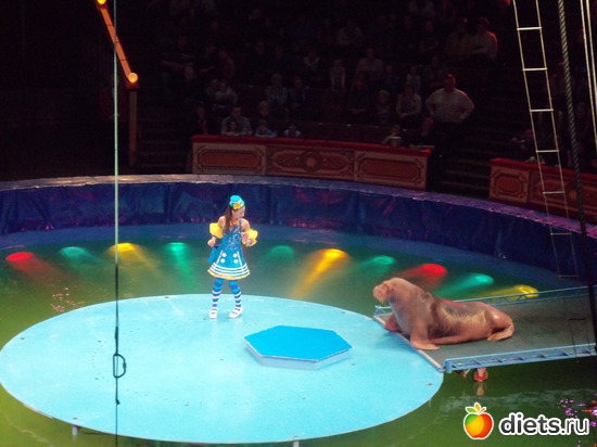 13 фото: МОСКВА 16.03-06.04.2012