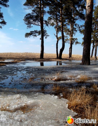 Последний снег