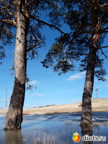 Весеннее небо