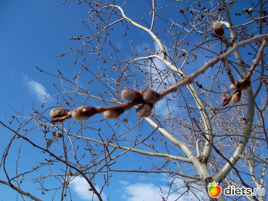 Пробуждение жизни весной...