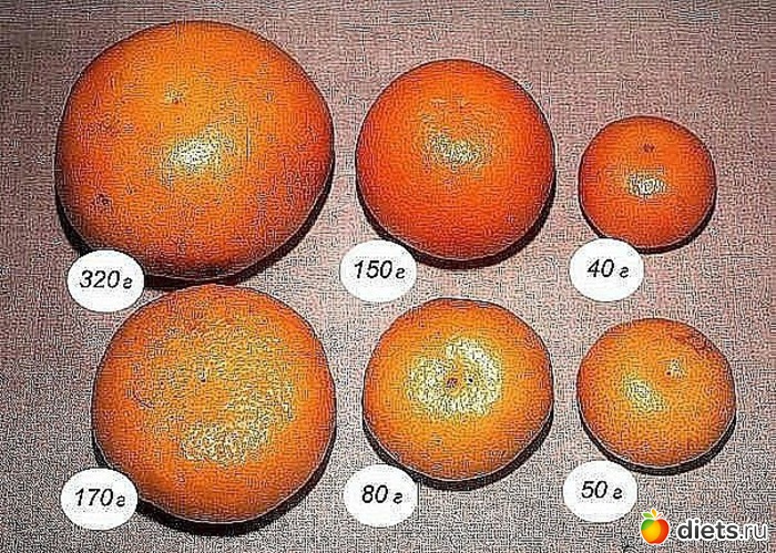 31 ����: ��������� ���������