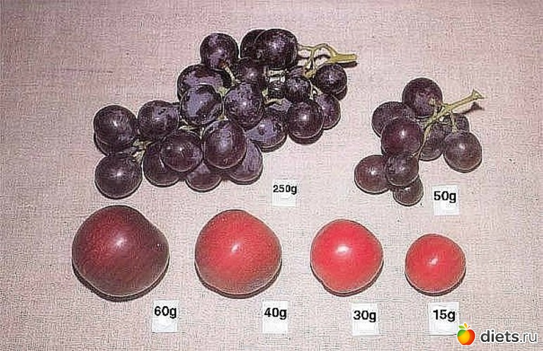 33 ����: ��������� ���������