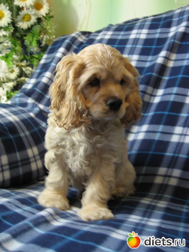 ������ ����������� ����!, ������: ��� ���������!