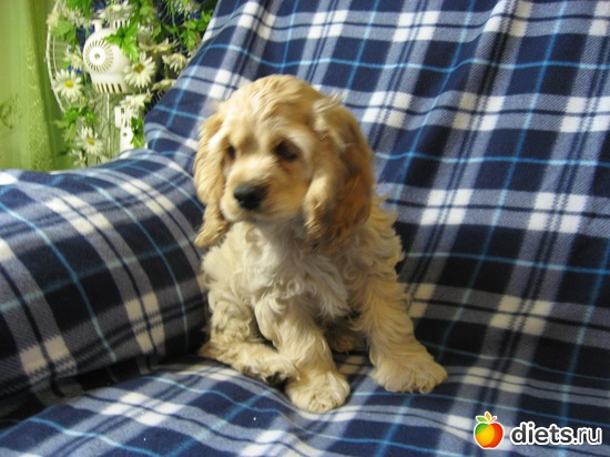 ���������� "����������" ������, ������: ��� ���������!