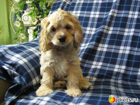 ��� �������, ������: ��� ���������!