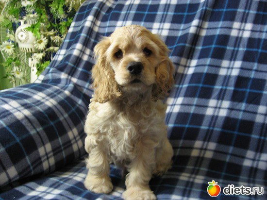 ���2 ���. � 2 ���., ������: ��� ���������!