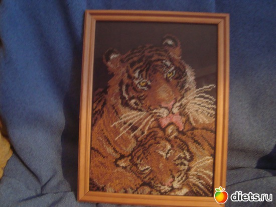 Тигры, альбом: Мои вышивалочки